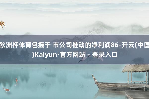 欧洲杯体育包摄于 市公司推动的净利润86-开云(中国)Kaiyun·官方网站 - 登录入口