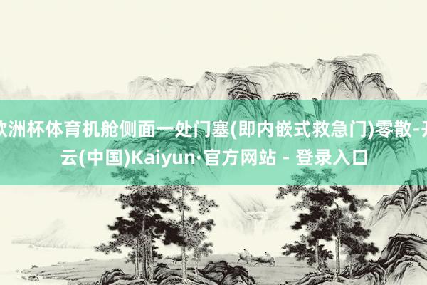 欧洲杯体育机舱侧面一处门塞(即内嵌式救急门)零散-开云(中国)Kaiyun·官方网站 - 登录入口